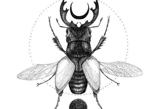 Tatuaż żuk znaczenie - odkryj głębokie symbole i ich historię