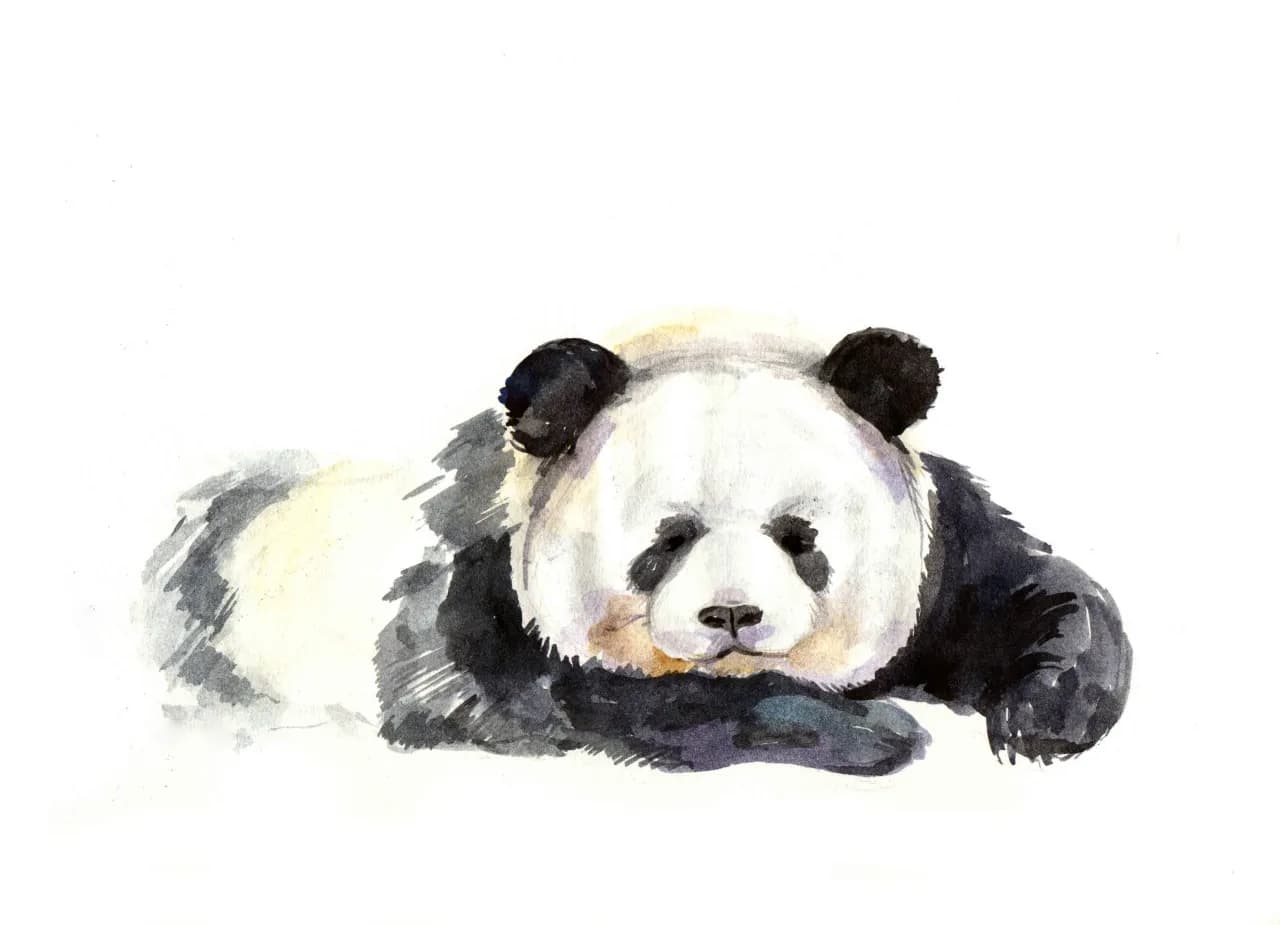 Tatuaż panda znaczenie - odkryj głębokie symbole i ich znaczenie